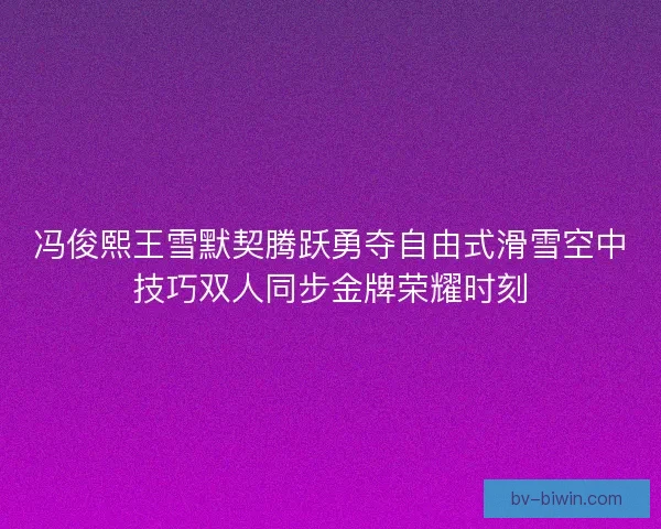 冯俊熙王雪默契腾跃勇夺自由式滑雪空中技巧双人同步金牌荣耀时刻